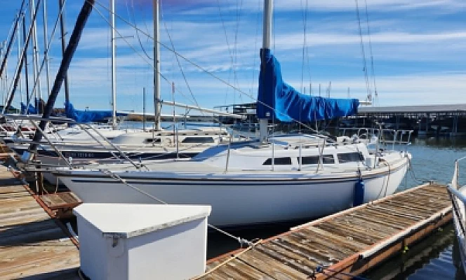 1_1983-sailboat-catalina-sail-757184-20250501080925605-0_XLARGE.jpg